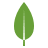 Skill icon